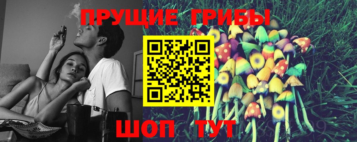Псилоцибиновые грибы Cubensis  Вход с VPN  сколько стоит  Чапаевск  Галлюциногенные грибы Magic Shrooms 