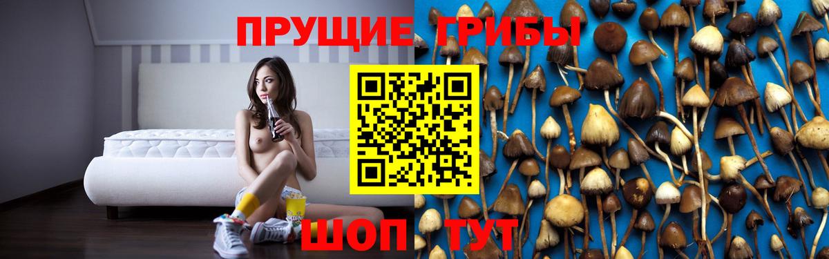 Галлюциногенные грибы мухоморы Чапаевск